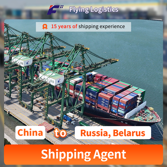 FCL Sea Shipping Agent expediteur van China naar Rusland, Wit-Rusland, inkoopagent / inkoper