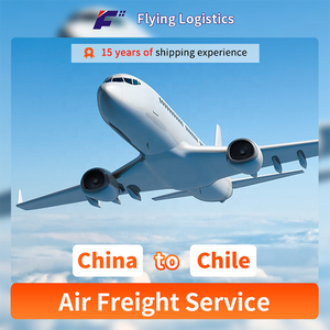 Agente di trasporto aereo professionale dalla Cina al Cile/Per&ugrave;/Argentina