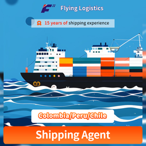 Agente de transporte desde China a Colombia/Per&uacute;/Chile Servicio de log&iacute;stica de transporte mar&iacute;timo internacional