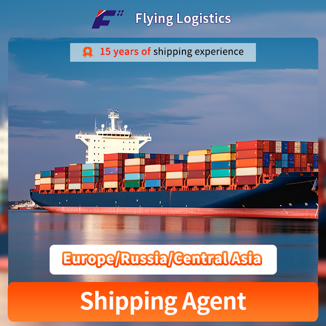 DHL FedEx UPS Agent Air Shipsion Agent Air Shipy Agent SEA LOGISTICIJA OPASNICA Iz Kine u Europu/Rusija/Srednja Azija