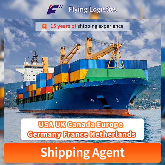 Професійний повітряний океан Морський фрахт Міжнародні доставки DDP Експедитор з Китаю до США Великобританія Канада Європа Німеччина Франція Нідерланди Логістичні послуги