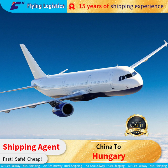 Agente di trasporto merci dalla Cina al fornitore di servizi logistici in Ungheria