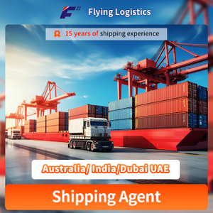 Đại lý vận chuyển DDP/DDU Amazon FBA vận chuyển hàng không vận chuyển hàng không từ Trung Quốc đến Úc/Ấn Độ/Dubai UAE Dịch vụ hậu cần