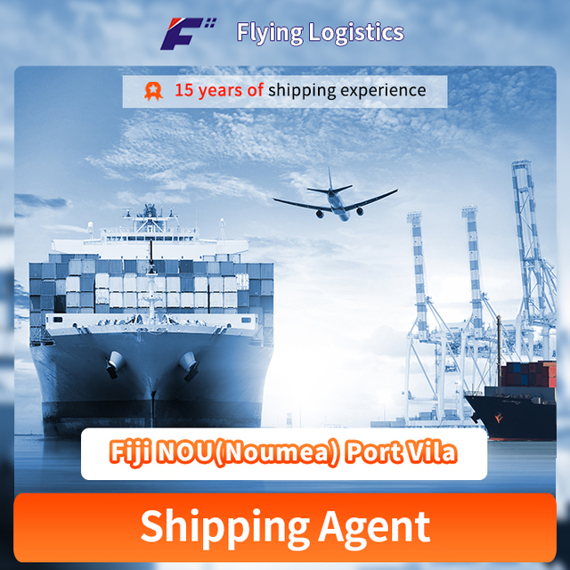 FCL LCL 해상 운송 화물 운송업자 중국에서 피지까지 물류 서비스 NOU(Noumea) Port Vila Shipping Company