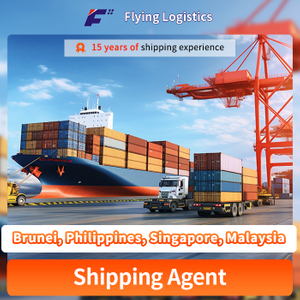 Foright Forward Sea Express DHL UPS FedEx Logistics Service Consolate DDP Agent Agent από την Κίνα στο Μπρουνέι, Φιλιππίνες, Σιγκαπούρη, Πράκτορας Αγορών της Μαλαισίας