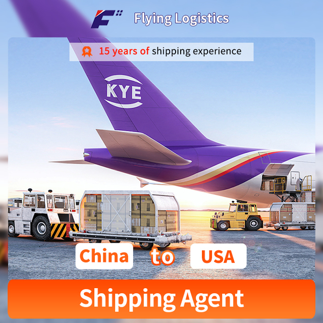 Magazyn Fba firmy Amazon Door to Door Delivery Service z Chin do USA DDP