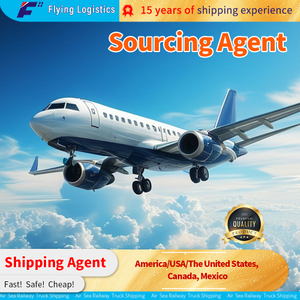 Express, transporte a&eacute;reo, env&iacute;o mar&iacute;timo, servicio DDP, agente de transporte de carga a Am&eacute;rica/EE. UU./Estados Unidos, Canad&aacute;, M&eacute;xico